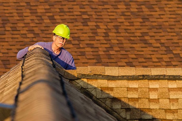 Best Gutter Installation and Roofing  in Springdale, OH
